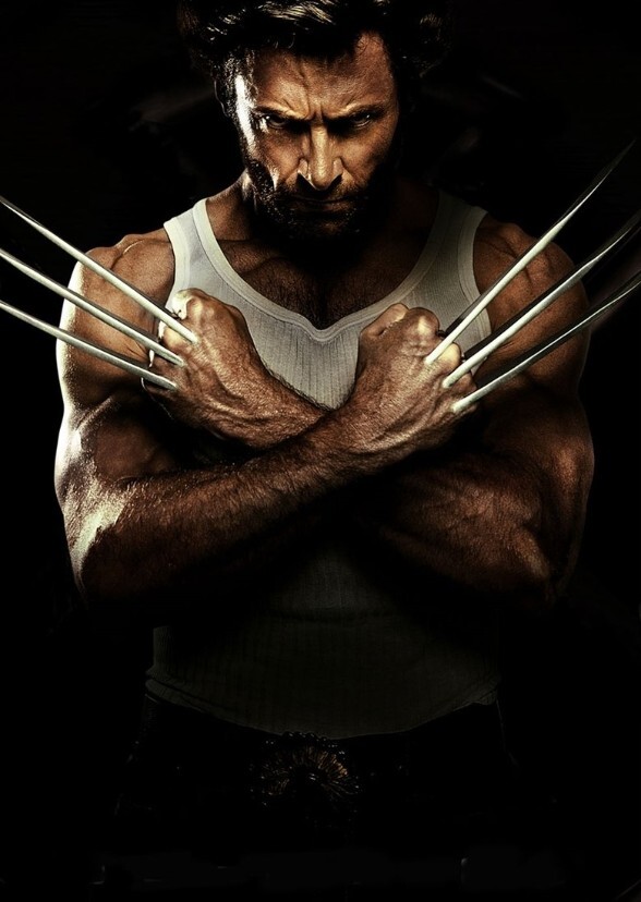 Wolverine (2014)
