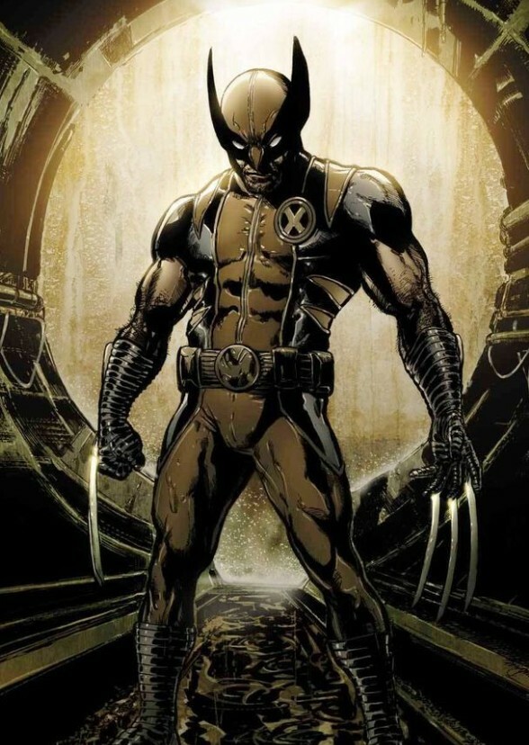 Wolverine : The Series