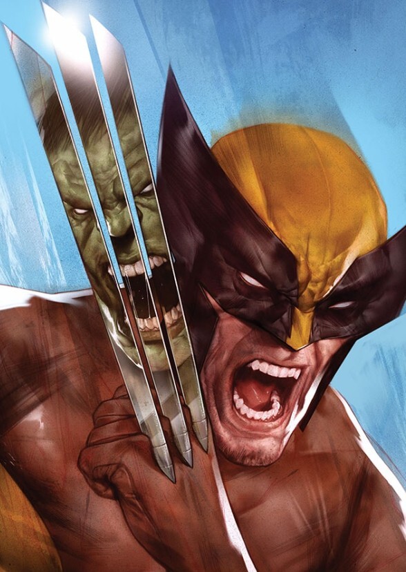 Wolverine vs Hulk 