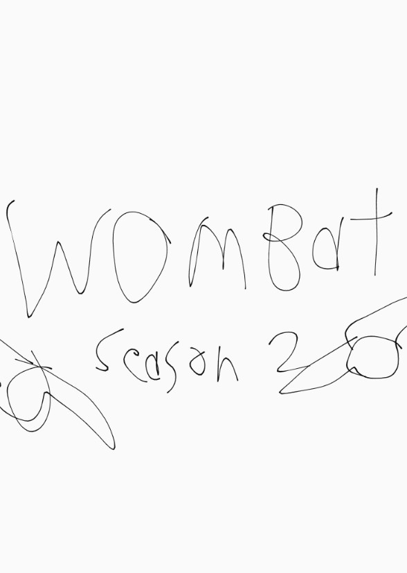 Wombat: The Black Ninja Season 2