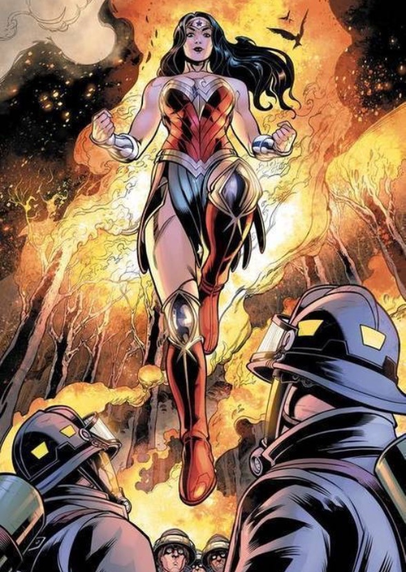 Wonder Woman: Amazon’s warrior (DC animated universe)