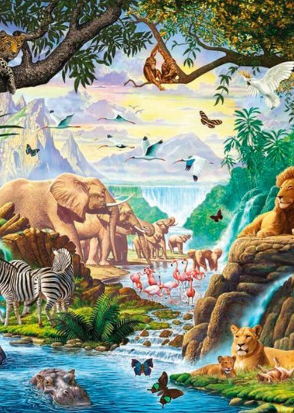Wonders of the Wild: Exploring the Earth's Ecosystems