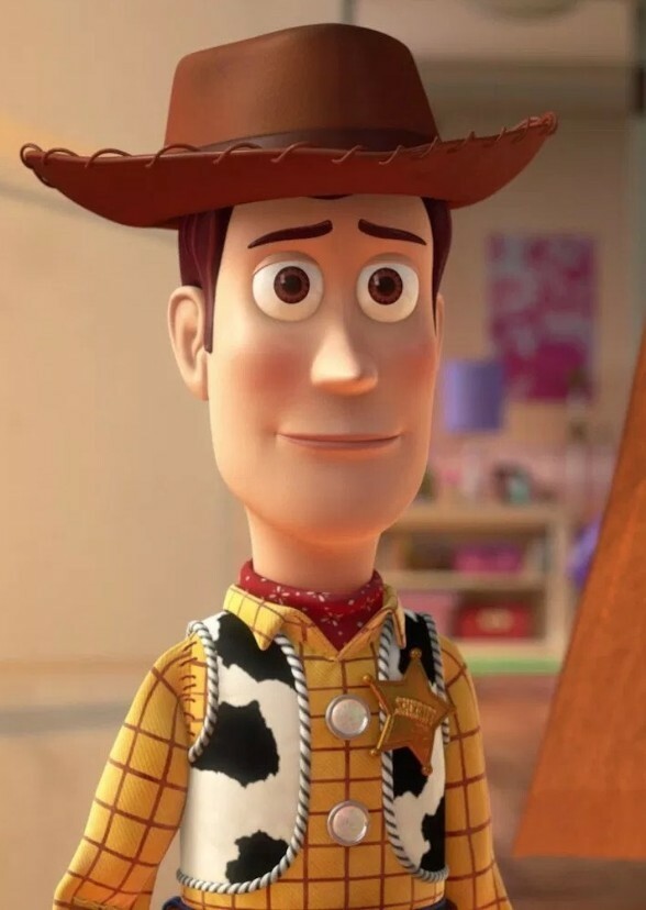 Woody Fan Casting for Toy Story (2024)