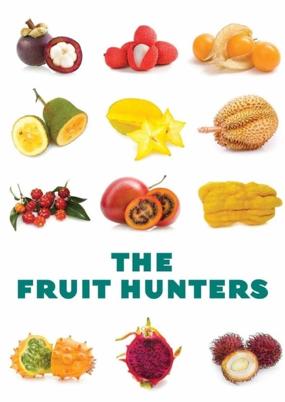 World of Fruit 