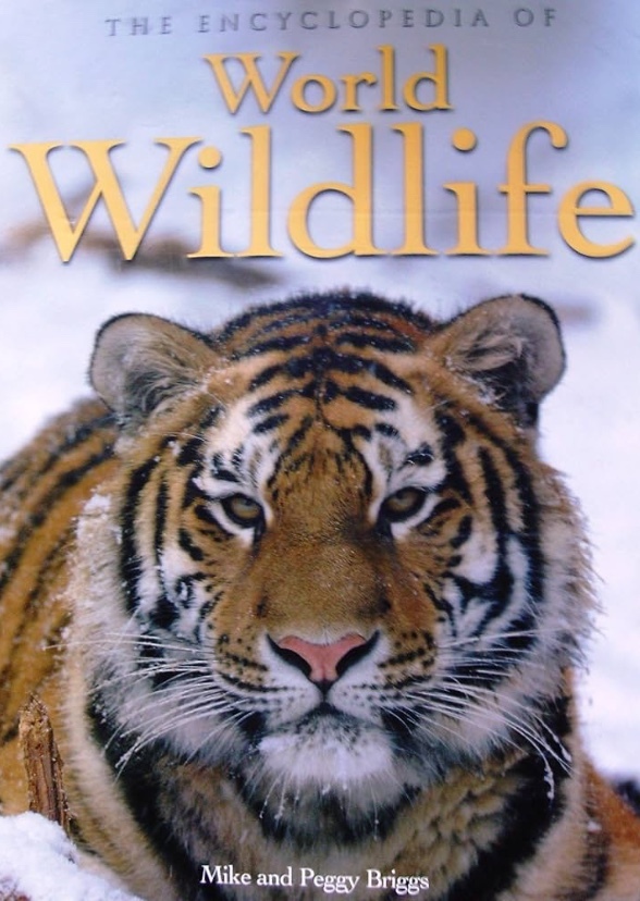 World Wildlife