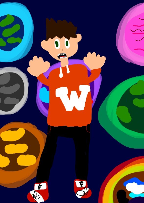 Wormholes