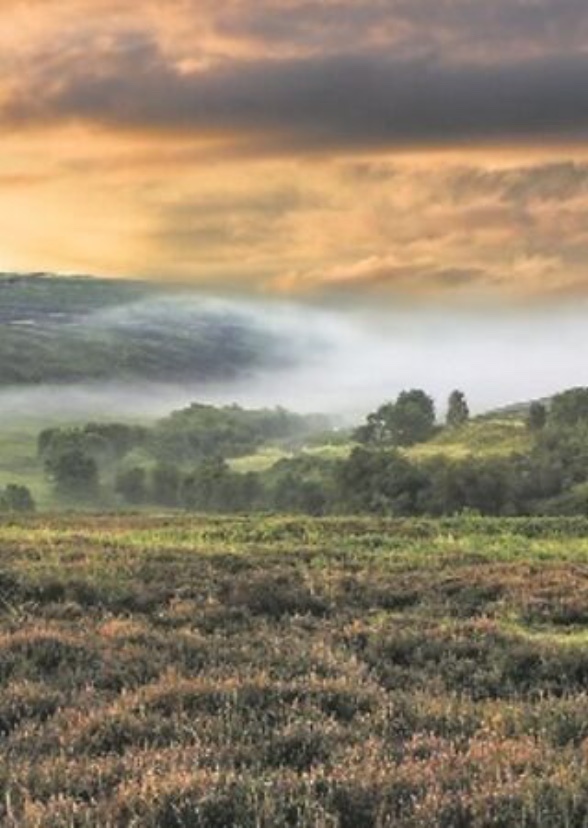 Wuthering Heights