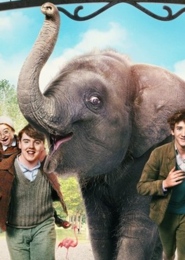 Zoo Animals