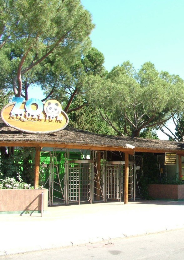 Zoo Diaries: Spain