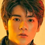 Yongsin Wongpanitnont