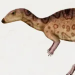 Fabrosaurus