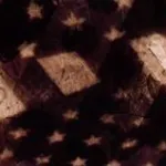 N.W.O. (song)
