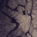 Cave Painting