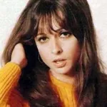 Bibi Vogel