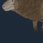 Siamotyrannus