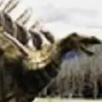 Kentrosaurus (Jurassic Park 3: Park Builder)