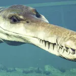 Kronosaurus (Jurassic World Evolution)