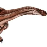Lessemsaurus (Jurassic Park Institute)
