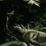 Leaellynasaura (Walking With Dinosaurs)