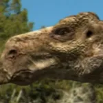 Maiasaura (Dinosaur Planet)