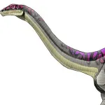 Massospondylus (Jurassic Park Institute)