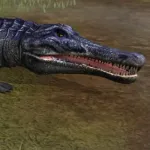 Metriorhynchus (Jurassic World: The Game)