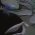 Mosasaurus (PBS: The Dinosaurs!) (1992)