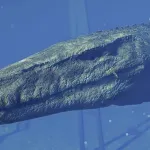 Mosasaurus (Jurassic World Evolution)