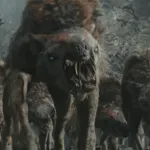 Wart Dog