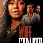Wife Stalker