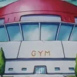 Pokémon Gym