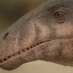 Masiakasaurus (Prehistoric Planet)