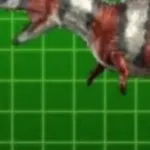 Majungasaurus (Dinosaur King)