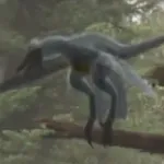 Microraptor (Mammals vs. Dinos)