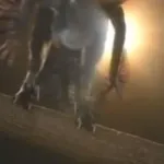 Microraptor (Dino Lab 2)
