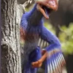 Microraptor (Dino Dana)
