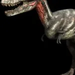 Nanotyrannus (Dinosaurs Decoded)