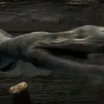 Nothosaurus (Sea Monsters: A Prehistoric Adventure)