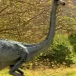 Ornithomimus (Prehistoric Park)