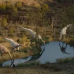 Ornithomimus (Life On Our Planet)