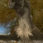 Oviraptor (Dinosaur Planet)