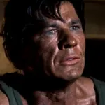 Lieutenant Danny Welinski