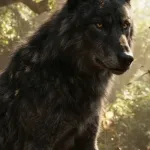 Rama (The Jungle Book 2016)