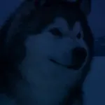 Talon (Snow Buddies)