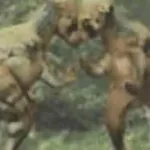 Pachycephalosaurus (Jurassic Park 3: Park Builder)