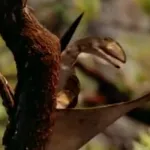 Peteinosaurus (Walking With Dinosaurs)