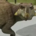 Psittacosaurus (Dino Dan)
