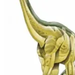 Patagosaurus (Jurassic Park Institute)