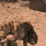 Protoceratops (Dinosaurs Alive! (2007))