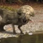 Protoceratops (Tarbosaurus: The Mightiest Ever)